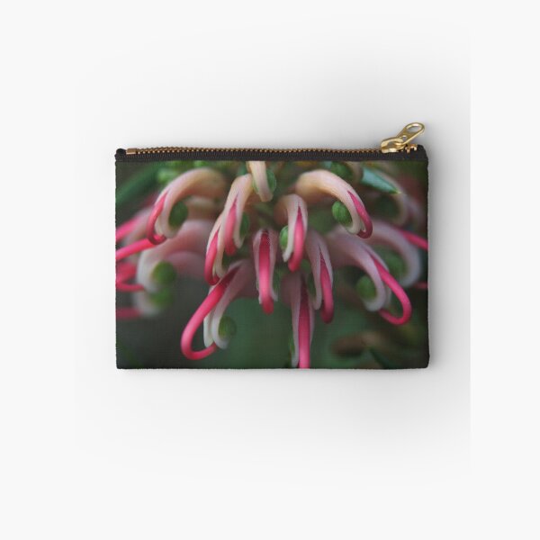 Item preview, Grevillea Juniperina (Granite-belt form) designed and sold by andrachne.