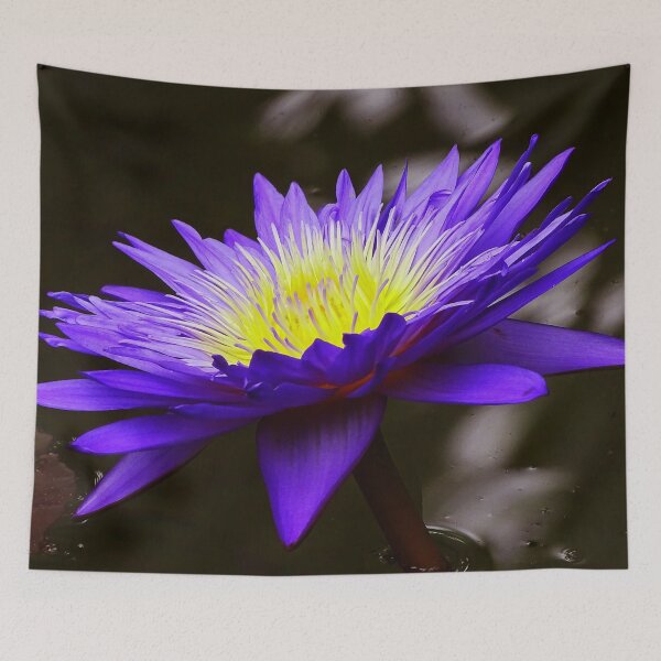 Item preview, Water Lillies & Lotuses #10 designed and sold by Jeffrey Mask.