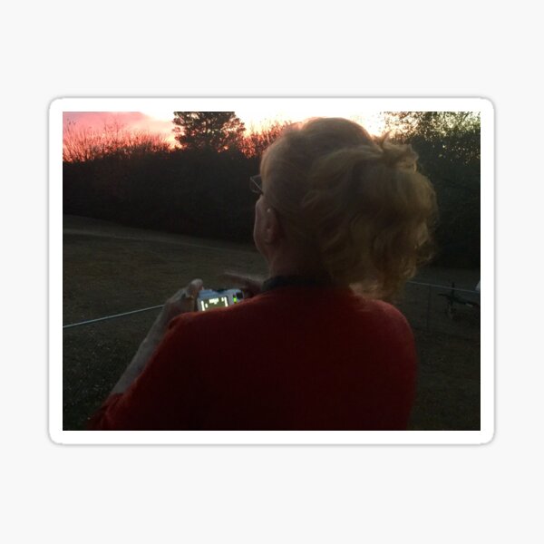 Taking In The Beauty Sticker