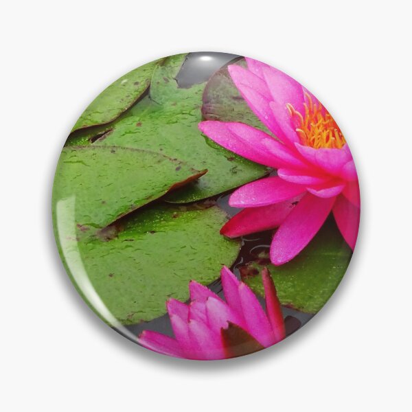 Item preview, Water Lillies & Lotuses #11 designed and sold by Jeffrey Mask.