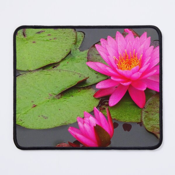Item preview, Water Lillies & Lotuses #11 designed and sold by Jeffrey Mask.
