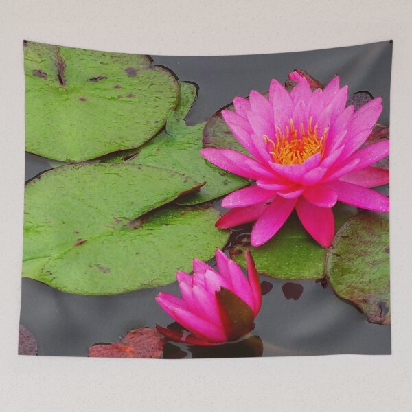Item preview, Water Lillies & Lotuses #11 designed and sold by Jeffrey Mask.