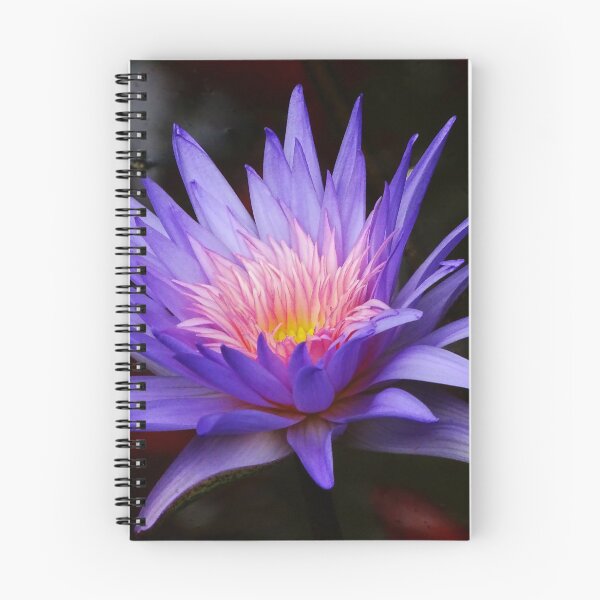 Item preview, Water Lillies & Lotuses #12 designed and sold by Jeffrey Mask.