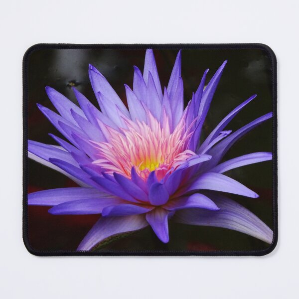 Item preview, Water Lillies & Lotuses #12 designed and sold by Jeffrey Mask.