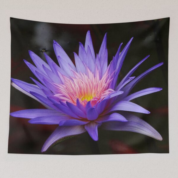Item preview, Water Lillies & Lotuses #12 designed and sold by Jeffrey Mask.