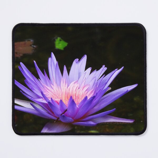 Item preview, Water Lillies & Lotuses #13 designed and sold by Jeffrey Mask.