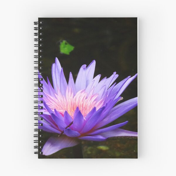 Item preview, Water Lillies & Lotuses #13 designed and sold by Jeffrey Mask.
