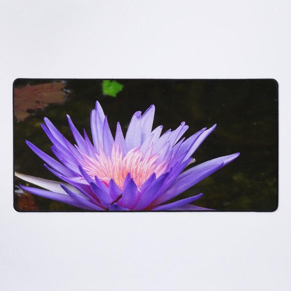 Item preview, Water Lillies & Lotuses #13 designed and sold by Jeffrey Mask.