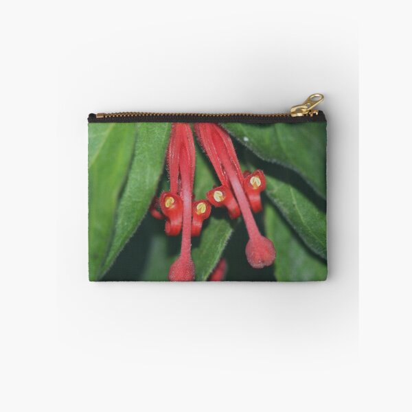 Item preview, Grevillea mollis  designed and sold by andrachne.