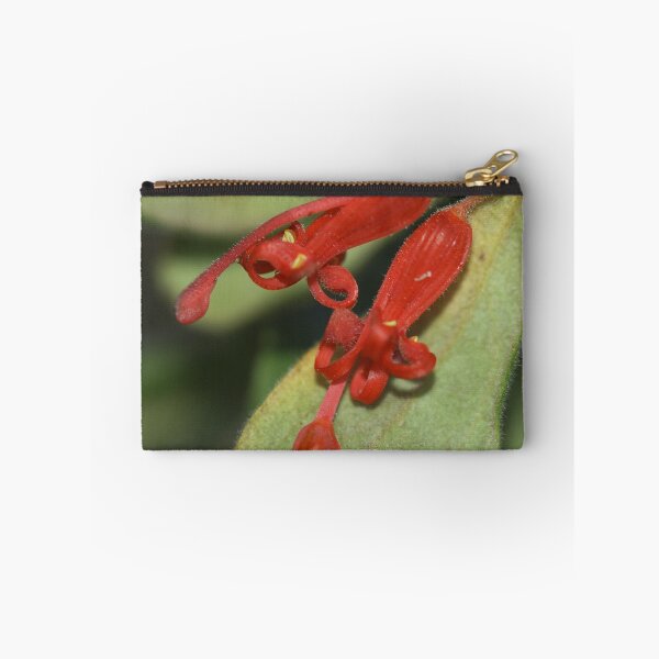 Item preview, Grevillea mollis designed and sold by andrachne.