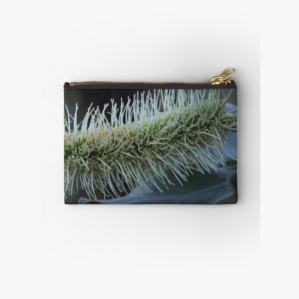 Item preview, Grevillea glauca  designed and sold by andrachne.