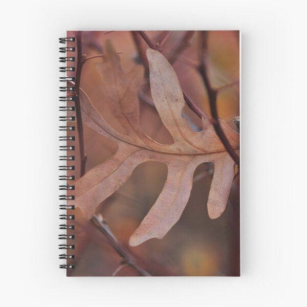Item preview, Trapped in barberry thorns... designed and sold by Poete100.