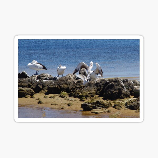 Item preview, Pelican Rock designed and sold by lezvee.