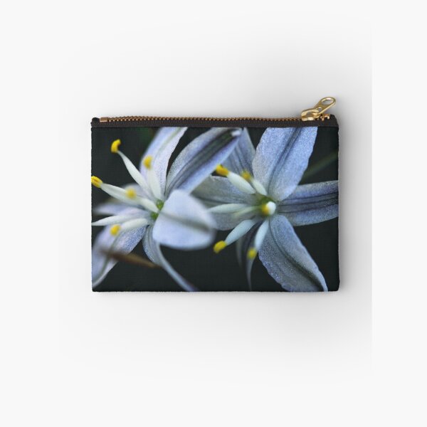 Item preview, Caesia parviflora  designed and sold by andrachne.
