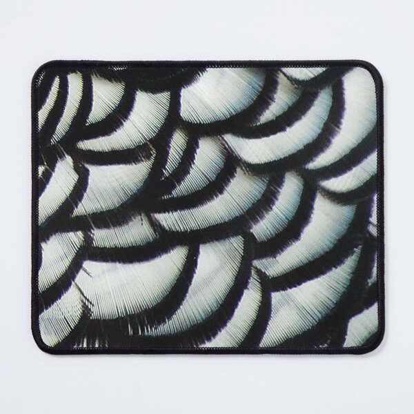 Item preview, Lady Amherst Pheasant 1. Close up - feathers, plumage. Black and white scalloped layers. designed and sold by JellyBeenzz.
