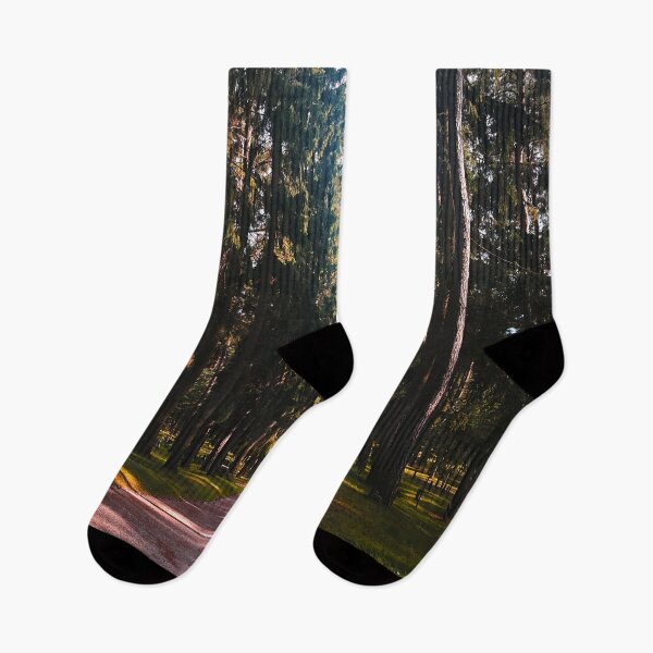 Item preview, Skogskyrkogården (Stockholm Woodland Cemetery) Photograph designed and sold by arientss.