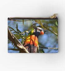 Rainbow Lorikeet Studio Pouch