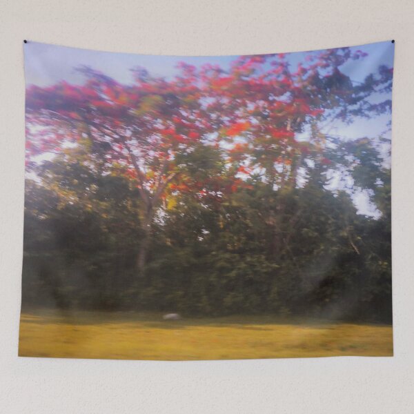 Item preview, Fire Tree (Royal poinciana) by the Roadside Photograph designed and sold by arientss.