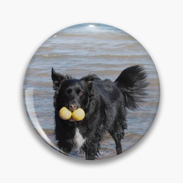 Item preview, Black Border Collie dog playing with tennis balls designed and sold by krisgreenwood.