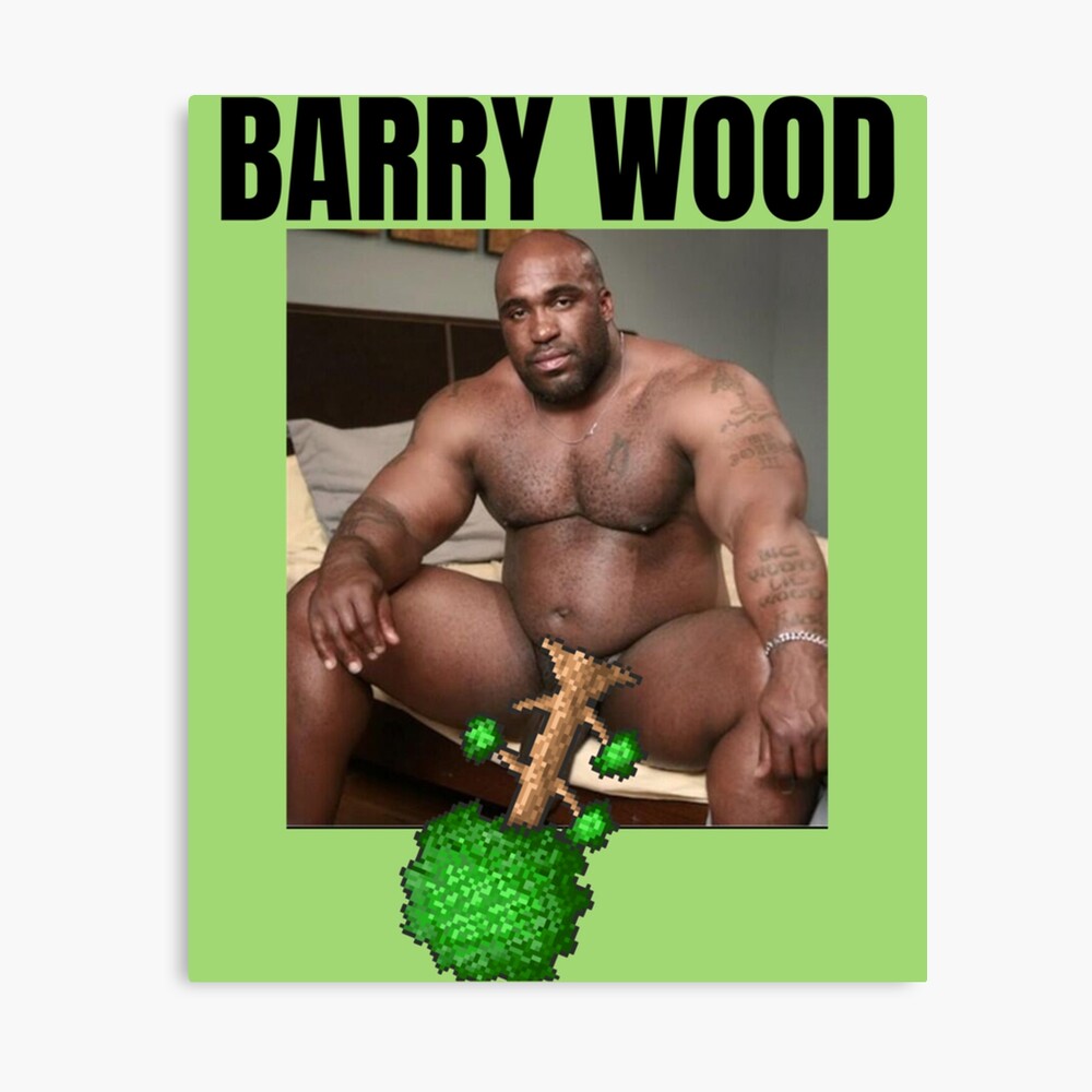 Big Dick Black Guy Meme Barry Wood