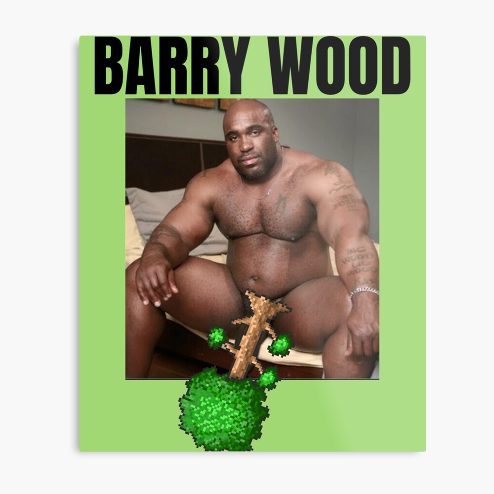 Big Dick Black Guy Meme Barry Wood