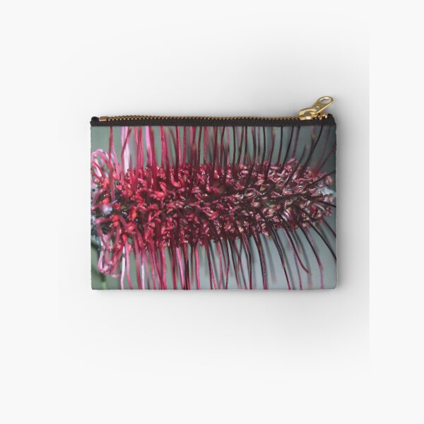Item preview, Grevillea paradoxa  designed and sold by andrachne.