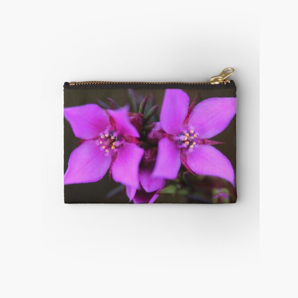 Item preview, Boronia falcifolia  designed and sold by andrachne.