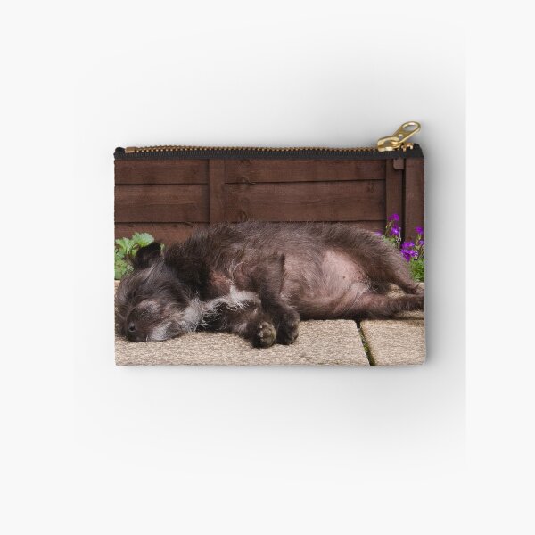 Item preview, Bailey - The Patterdale (Fell Terrier)  designed and sold by Chris Clark.