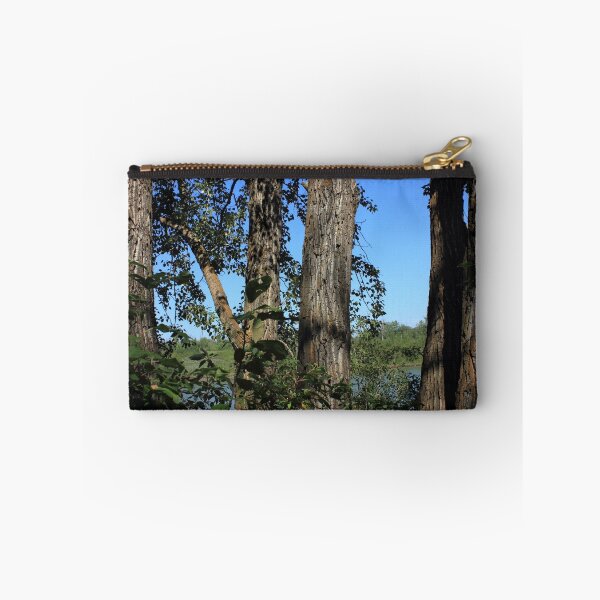 Item preview, Five old balsam poplar trees designed and sold by Jim Sauchyn.