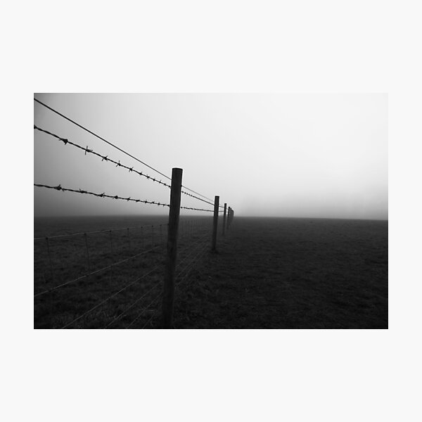 Barbed Wire Photographic Print