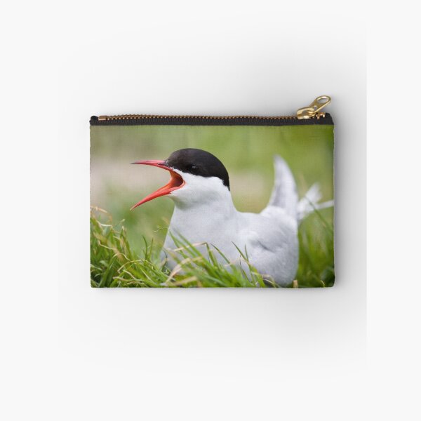 Item preview, Arctic Tern designed and sold by cjdolfin.