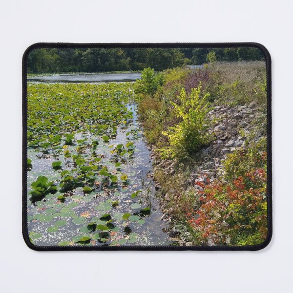 Item preview, Lakeshore designed and sold by ElphCreations.