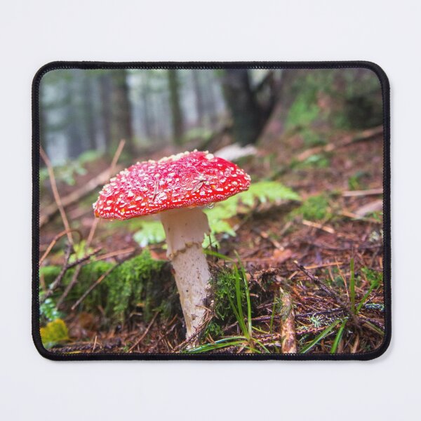 Toadstool: Red and White Mushroom in a Pine Forest - Fine Art Photography Mouse Pad