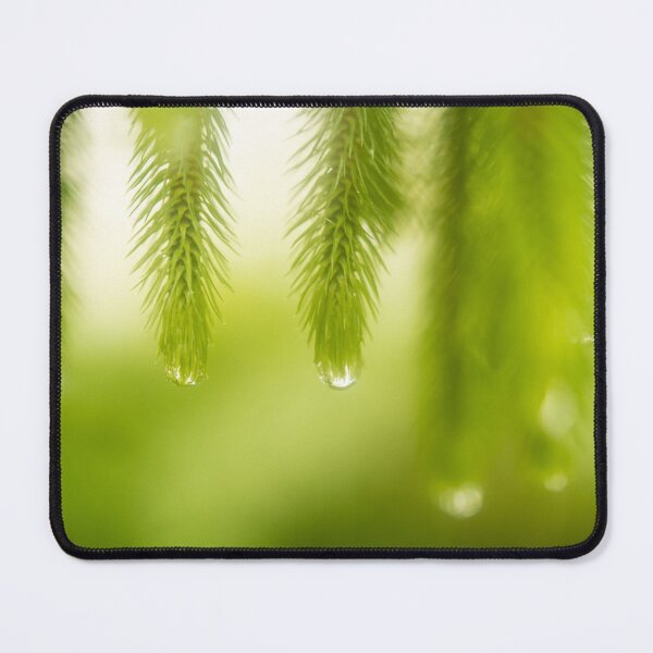 Item preview, Water Drops on Fern Leaves designed and sold by KatjaBozarth.