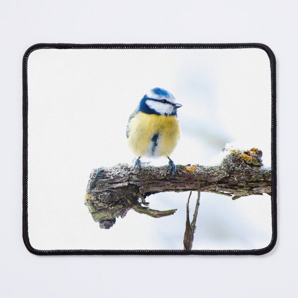 Item preview, Blue Tit - Bird Photography designed and sold by KatjaBozarth.