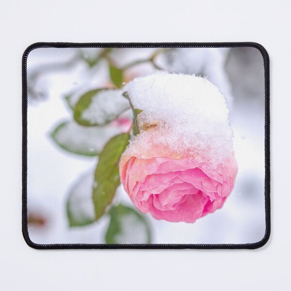 Item preview, Snow on a Rose in Winter designed and sold by KatjaBozarth.
