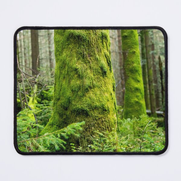 Item preview, Mossy Trees designed and sold by KatjaBozarth.