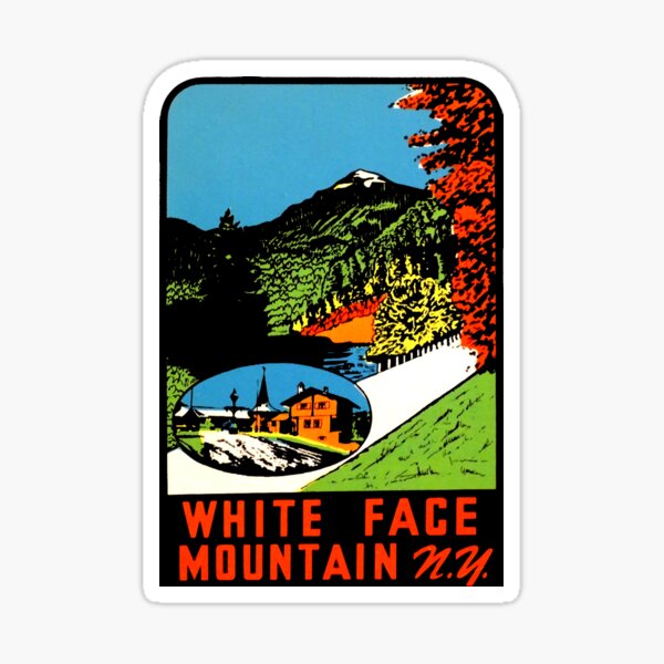 WHITEFACE LAKE PLACID YORK SKI THE FACE SNOWBOARD RESORT AREA STICKER DECAL 