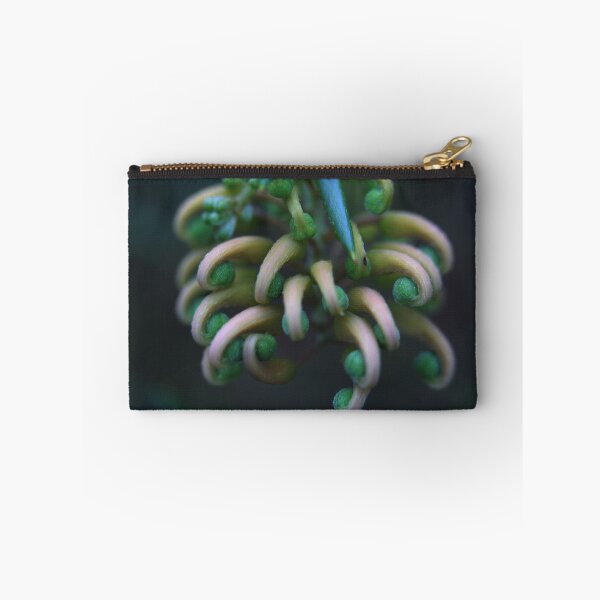 Item preview, Grevillea Juniperina (Granite-belt form) designed and sold by andrachne.