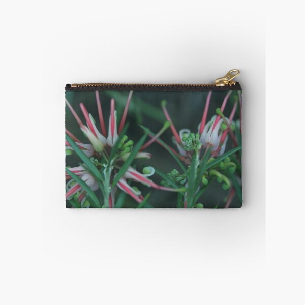 Item preview, Grevillea Juniperina (Granite-belt form)  designed and sold by andrachne.