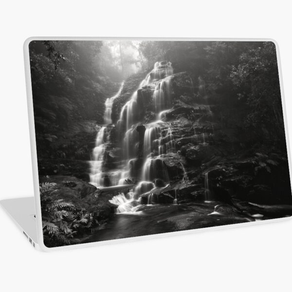 Misty Sylvia Falls Laptop Skin