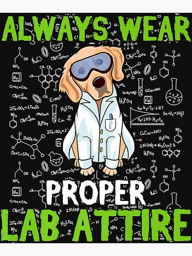 "Always Wear Proper Lab Attire Chemistry Experiment Labrador " Poster