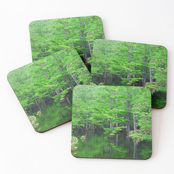 Item preview, Mangrove Forest designed and sold by AdvancedPhotons.