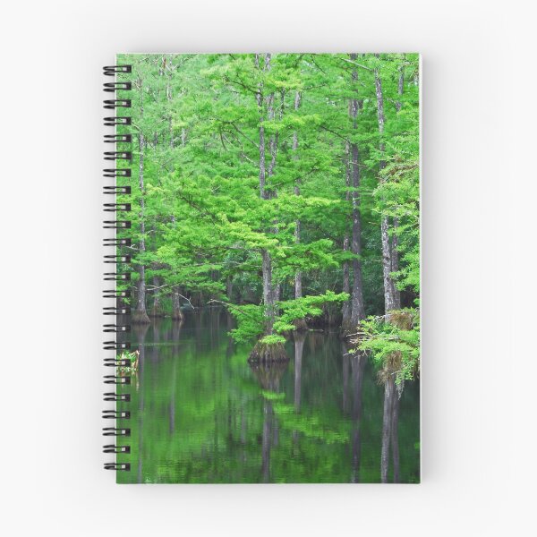 Item preview, Mangrove Forest designed and sold by AdvancedPhotons.