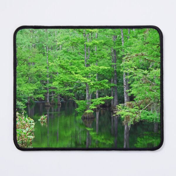 Item preview, Mangrove Forest designed and sold by AdvancedPhotons.