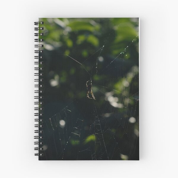Item preview, Orb Spider & Web Sunlight Shining Through designed and sold by ptosis.