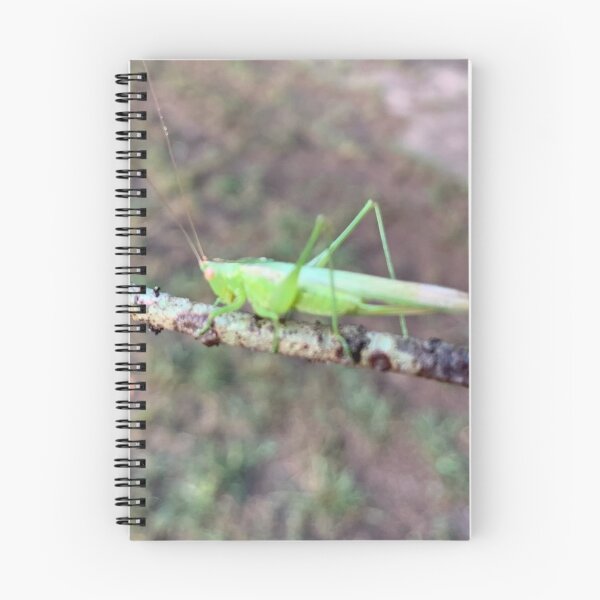 Item preview, Grasshopper  designed and sold by baksuart.