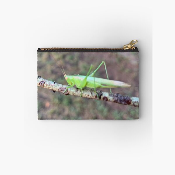 Item preview, Grasshopper  designed and sold by baksuart.