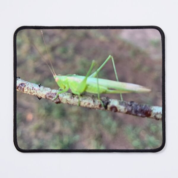 Item preview, Grasshopper  designed and sold by baksuart.