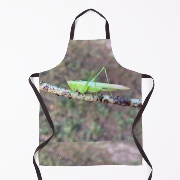 Item preview, Grasshopper designed and sold by baksuart.